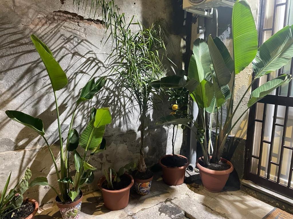 Conny'S House Apartment Catania Exterior photo